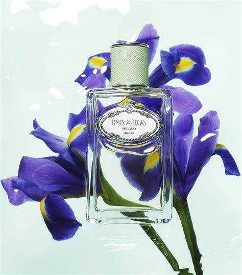 parfum infusion d iris prada|infusion d'iris Prada 100ml.